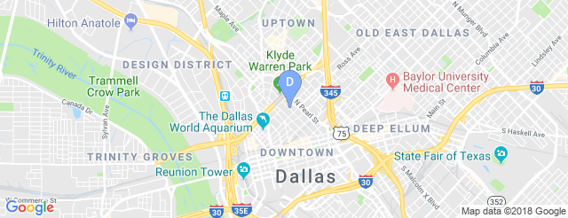 Dallas Museum Of Art